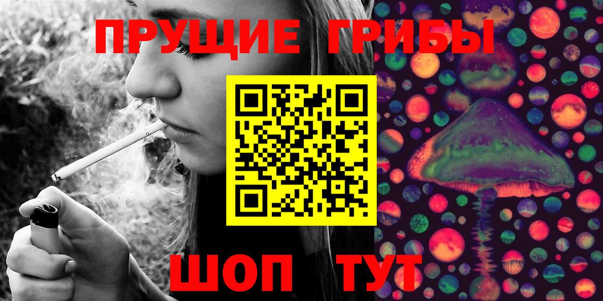 Галлюциногенные грибы MAGIC MUSHROOMS  Вход с VPN  Балашов 